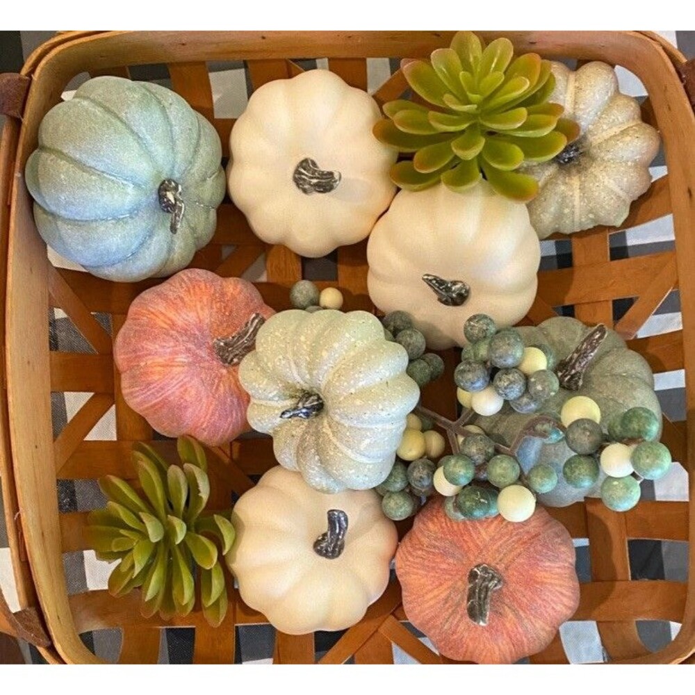Fall Autumn Thanksgiving Gourds Succulents Pumpkin Bowl Fillers Berries Tabletop